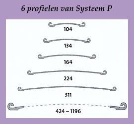 De 6 profielen van Systeem P